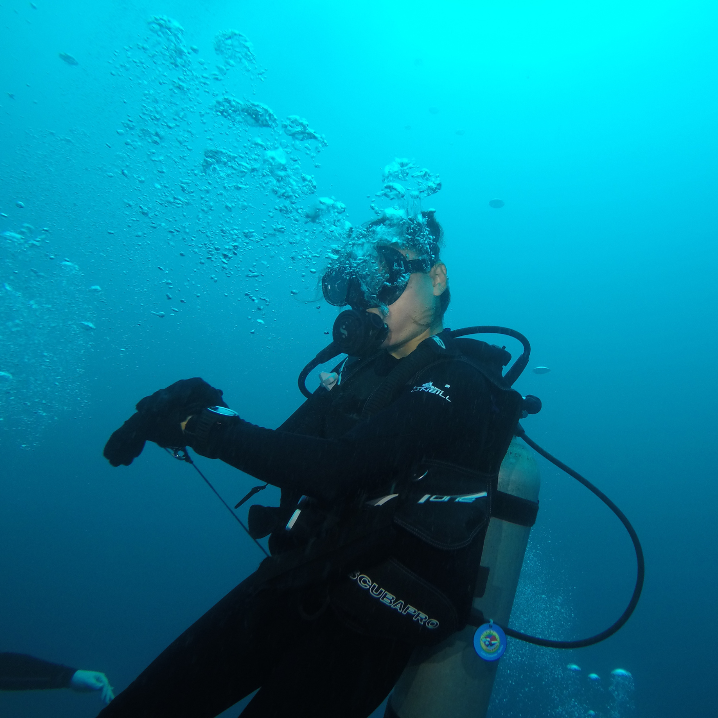 3 Experiencias buceo